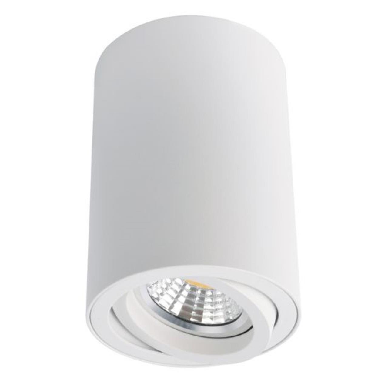Потолочный светильник Arte Lamp A1560PL-1WH 