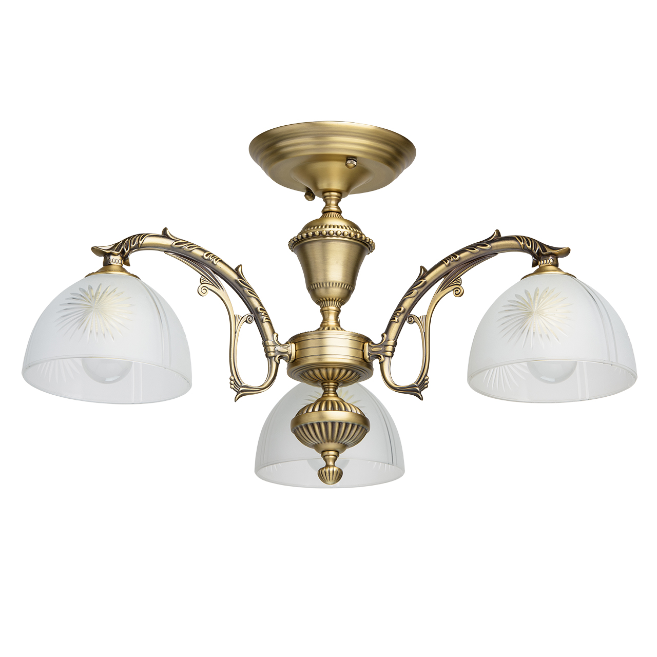 Потолочная люстра MW-Light Ариадна 450011503 
