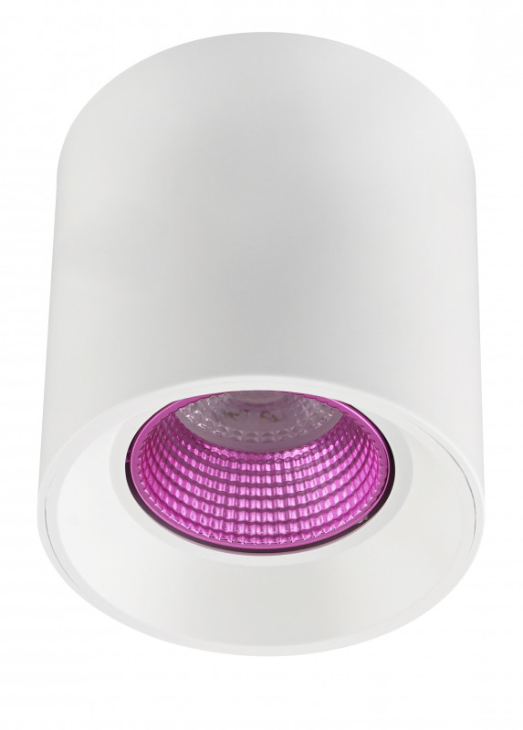 Потолочный светильник Denkirs DK3020WPI DK3090-WH+PI 