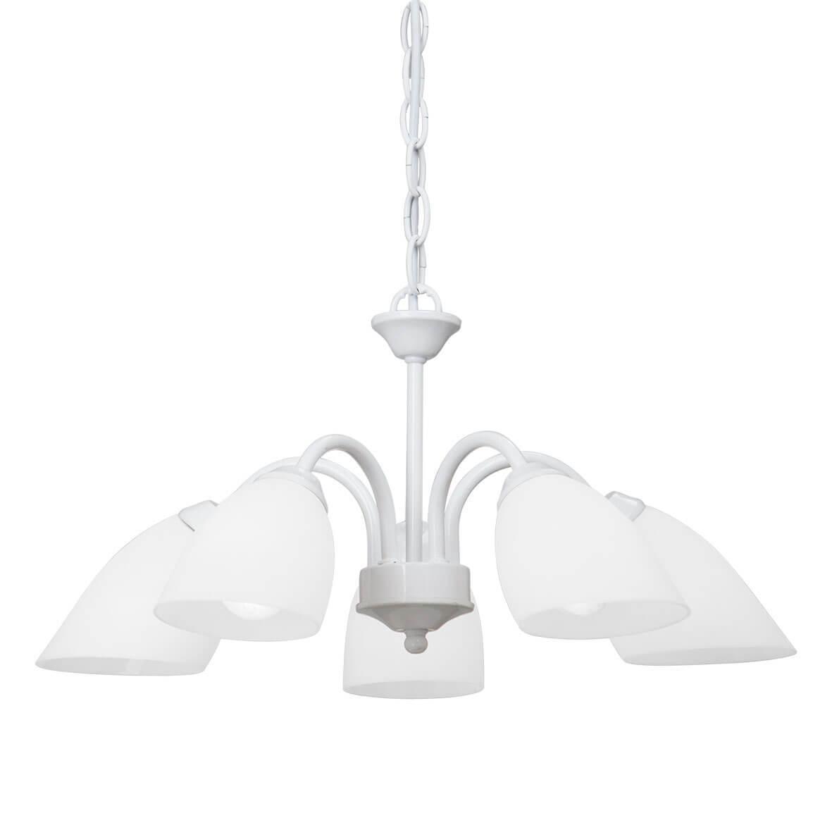 Подвесная люстра Vitaluce V3336/5 