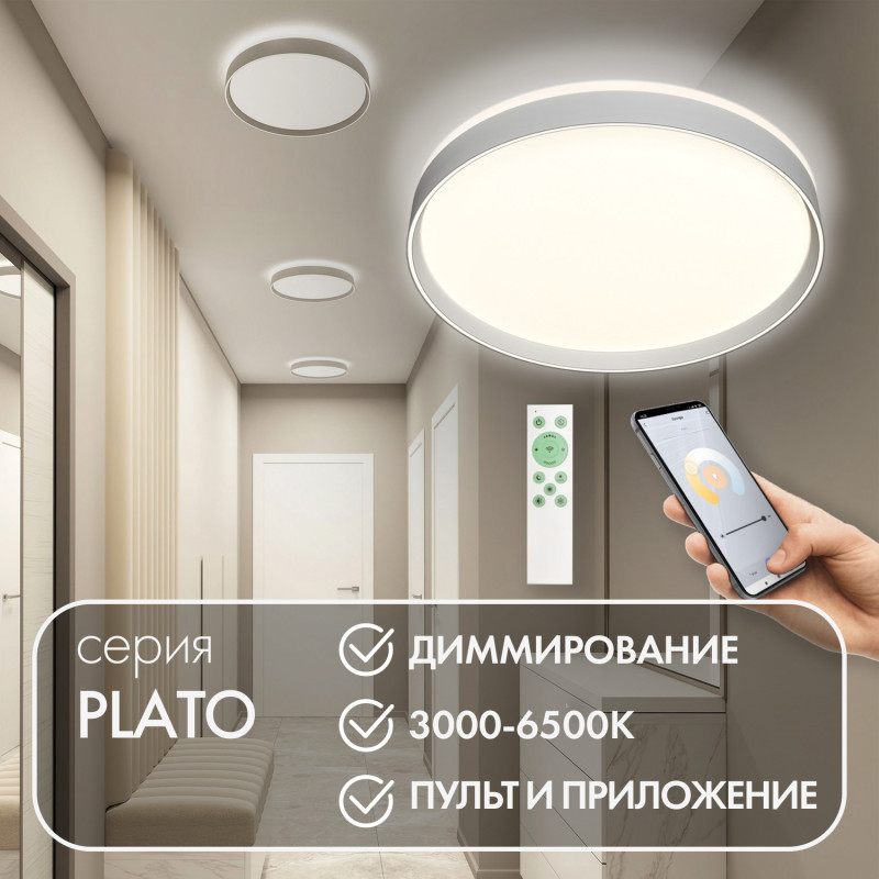 Накладной светодиодный светильник Denkirs DK6511-WH 