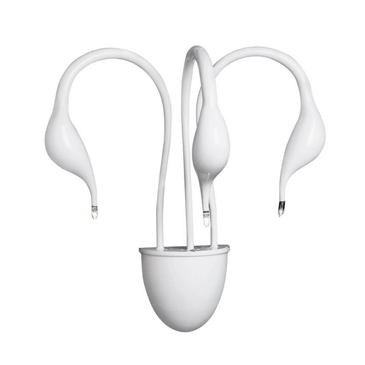 Бра Lightstar Cigno Collo Wt 751636 