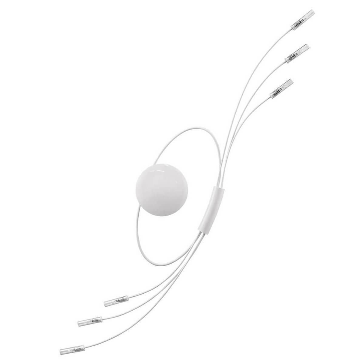 Бра Lightstar Ovale 784666 