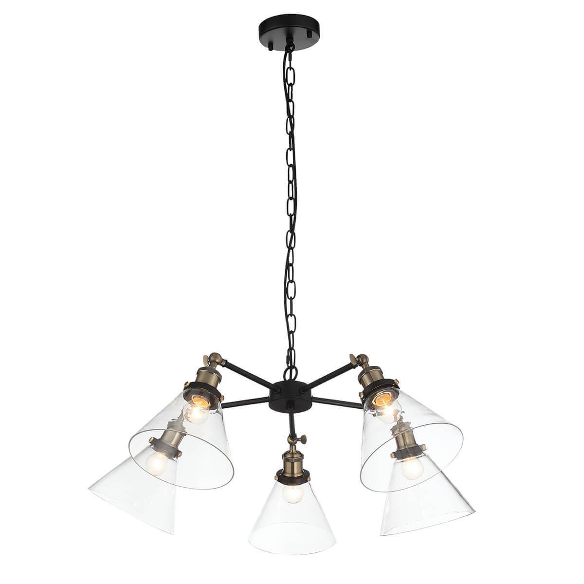 Подвесная люстра ST Luce Evoluto SL237.413.05 