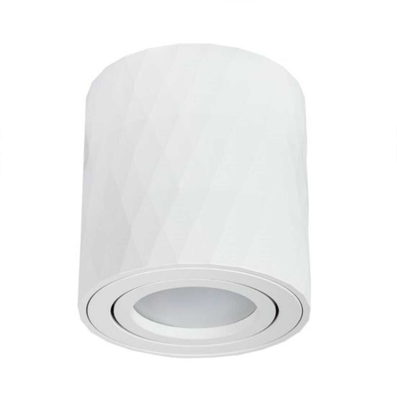 Потолочный светильник Arte Lamp Fang A5559PL-1WH 