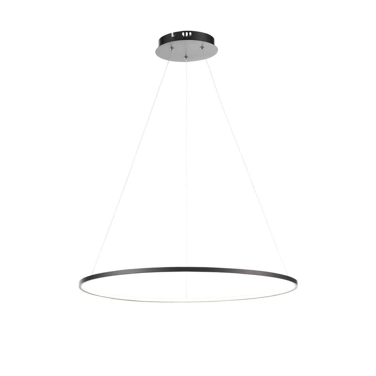 Подвесной светодиодный светильник ST Luce Erto SL904.413.01 