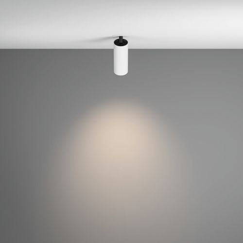 Потолочный светильник Technical C053CL-L12W4K-W-W  фото 4