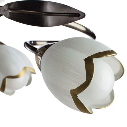 Потолочная люстра Arte Lamp 4 A6061PL-6AB  фото 3