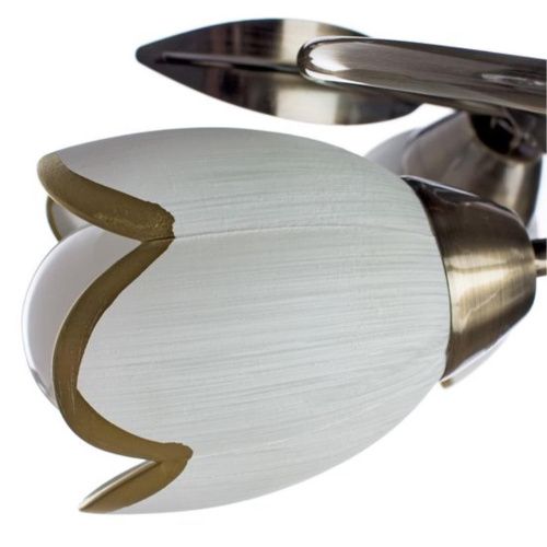 Потолочная люстра Arte Lamp 4 A6061PL-4AB  фото 4