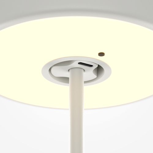 Аккумуляторный светильник Maytoni MOD229TL-L3W3K2  фото 5