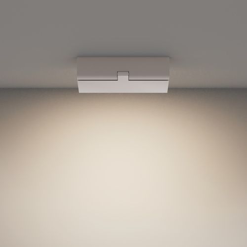 Потолочный светильник Technical C133CL-12W4K-W  фото 4