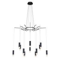 Подвесная люстра Maytoni Davida MOD035PL-12B 