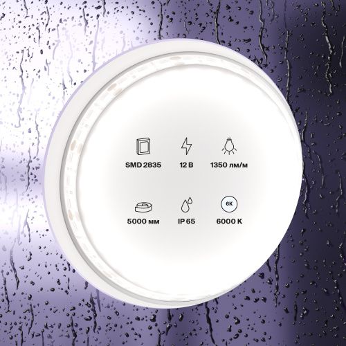 Светодиодная влагозащищенная лента Maytoni Technical 14,4W/m 120LED/m 2835SMD холодный белый 5M 1011  фото 3