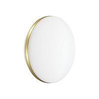 Настенно-потолочный светодиодный светильник Sonex Ringo 7626/AL 