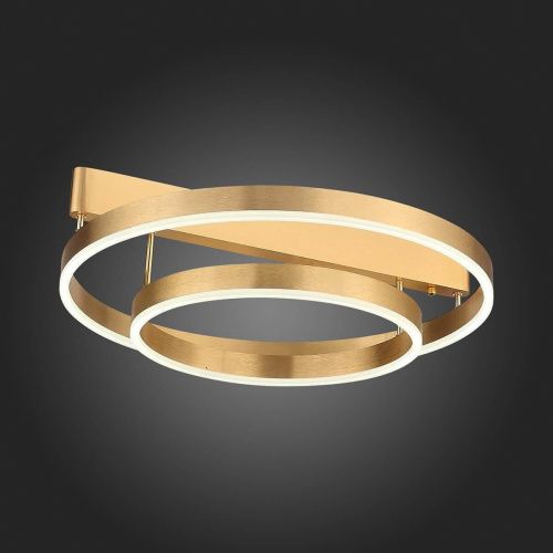 Потолочная светодиодная люстра ST Luce Onze SL944.202.02  фото 3