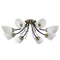 Потолочная люстра Lumion Comfi Eliana 4592/8C 