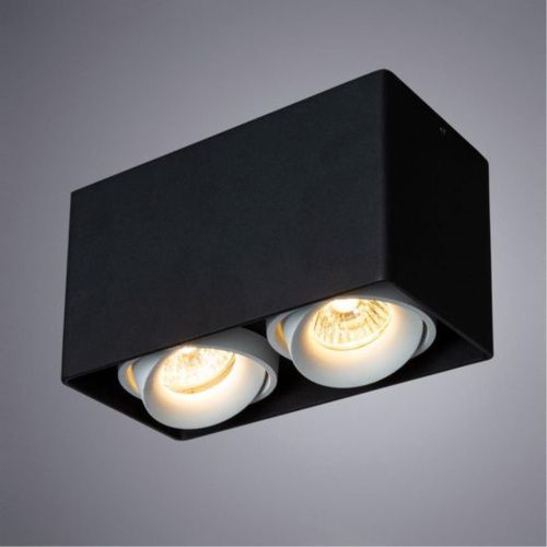 Потолочный светильник Arte Lamp Pictor A5654PL-2BK  фото 2