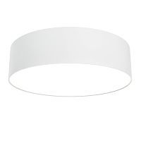 Потолочный светильник Technical C032CL-24W3K-RD-W 