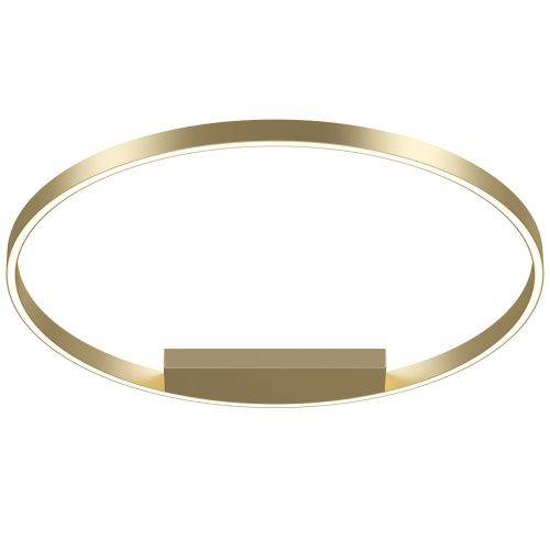 Потолочный светодиодный светильник Maytoni Rim MOD058CL-L50BS4K 