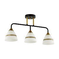 Потолочная люстра Lumion Comfi Nettie 5214/3CA 