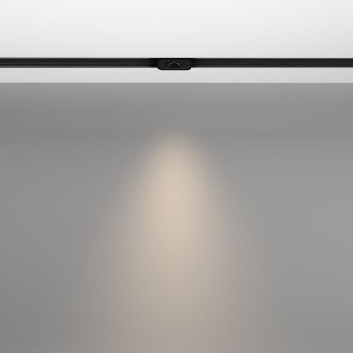 Трековый светильник Technical TR100-2-2W4K-S-B  фото 4