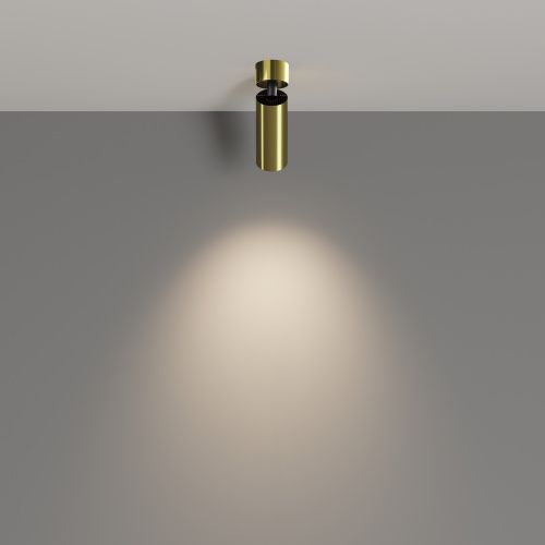 Потолочный светильник Technical C055CL-L12W4K-W-BS  фото 4