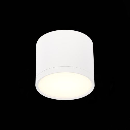 Потолочный светодиодный светильник ST Luce Rene ST113.532.09  фото 2
