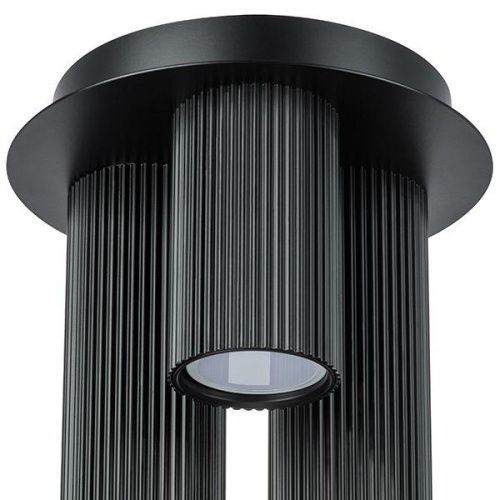 Потолочная люстра Lightstar Roma 718037  фото 4